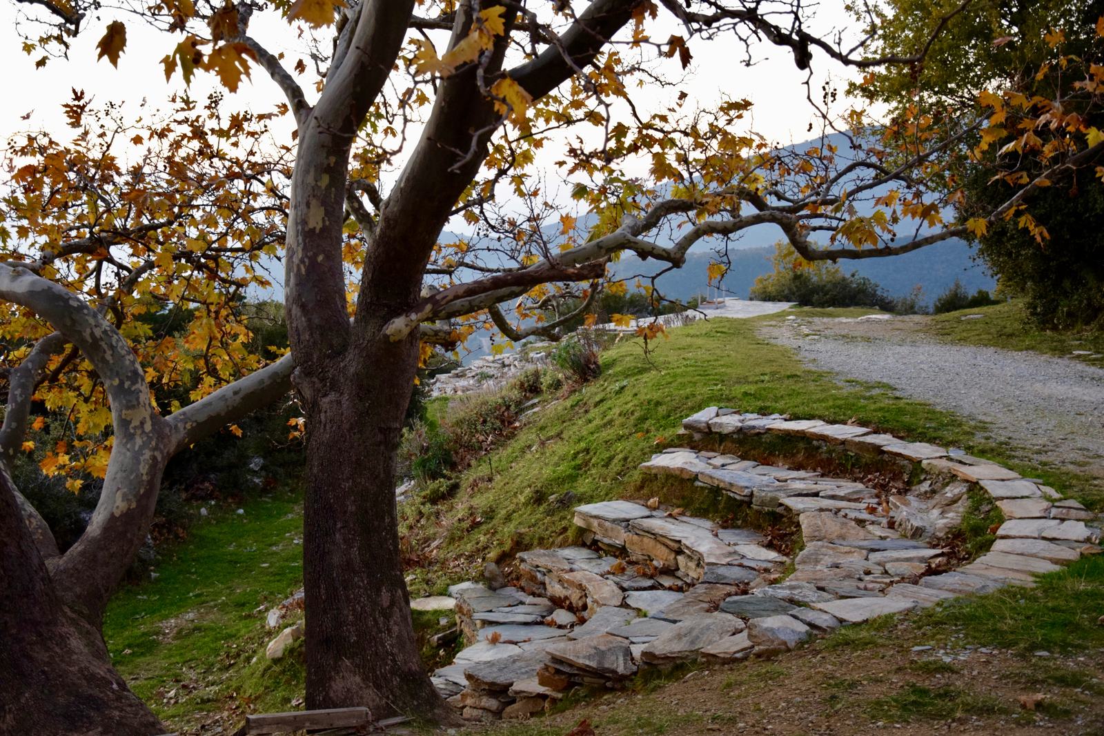 Το καλντερίμι και τα πλατάνια του θεάτρου το φθινόπωρο